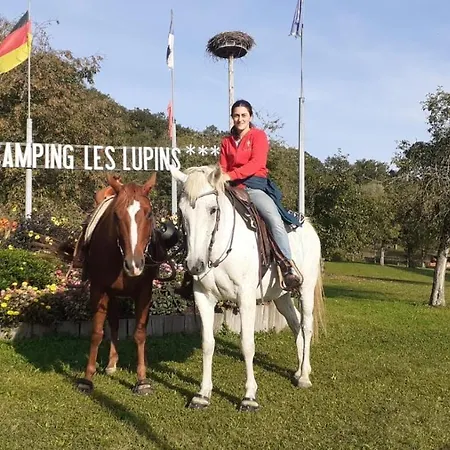 Les Lupins Кемпинг 3*