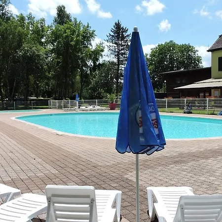 Les Lupins Seppois-le-Bas