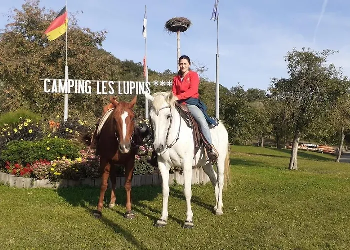 Les Lupins Campingplads 3*