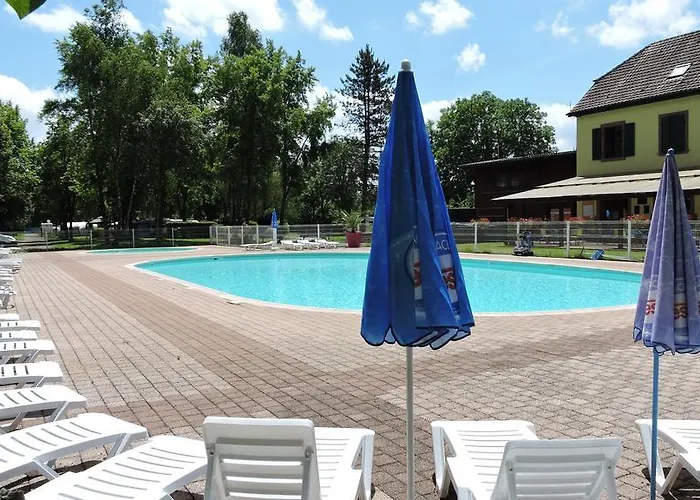 Les Lupins Seppois-le-Bas