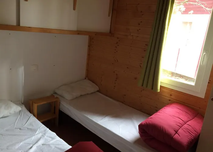 Les Lupins Seppois-le-Bas